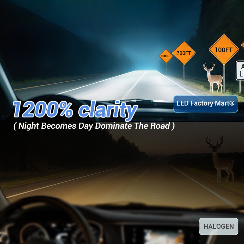 Nighttime road test results showing dramatically improved visibility with our LED headlights