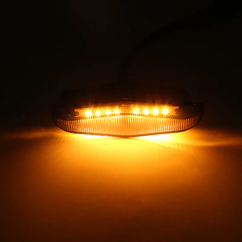 LED raptor light