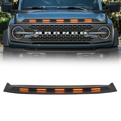 Bronco hood protector