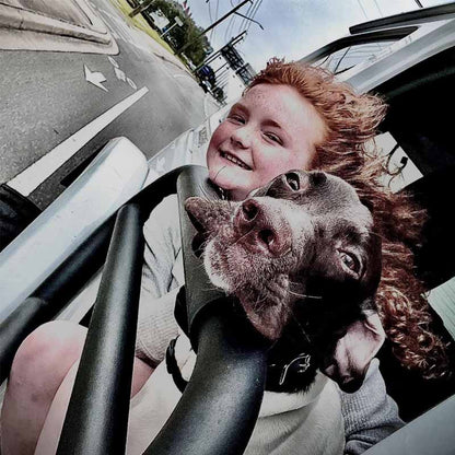 Exceedfab Jeep gladiator tube doors with mirror