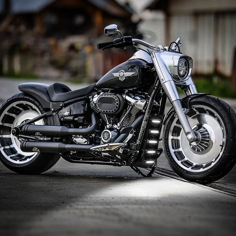 Harley Chin Spoiler Radiator Guard with LED Lighting for cooling and style 2018-2022
