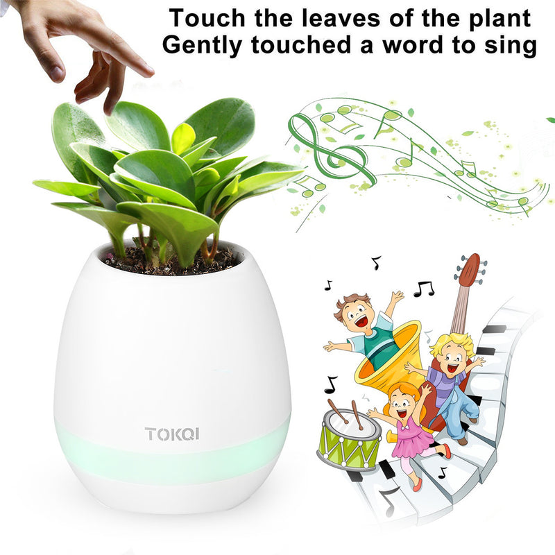 LED Rechargeable Bluetooth Music Night Light Speaker