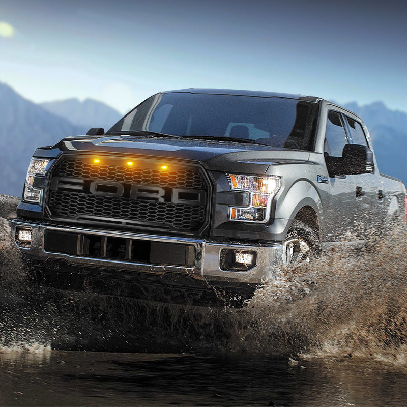 Ford F150 Grill